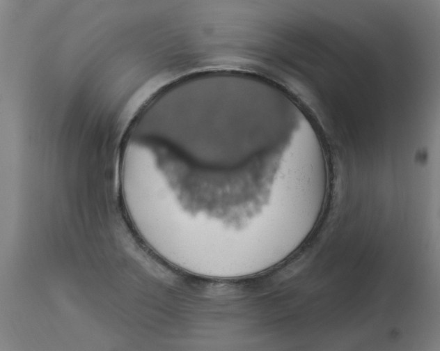 X0000113231275200910081357