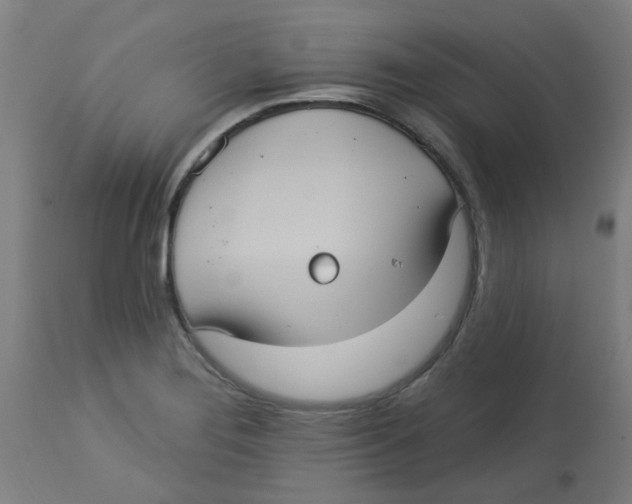 X0000113231276200910081357