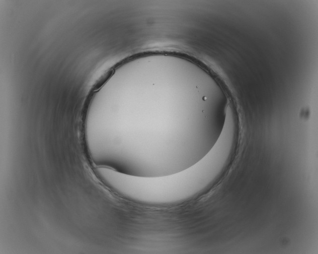 X0000113231277200910081357