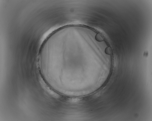 X0000113231278200910081357