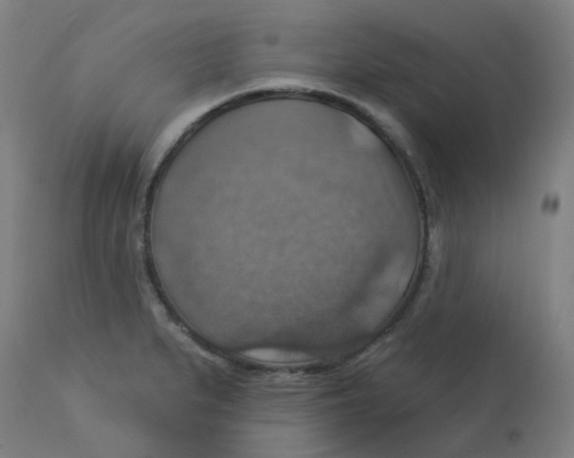 X0000113231279200910081357