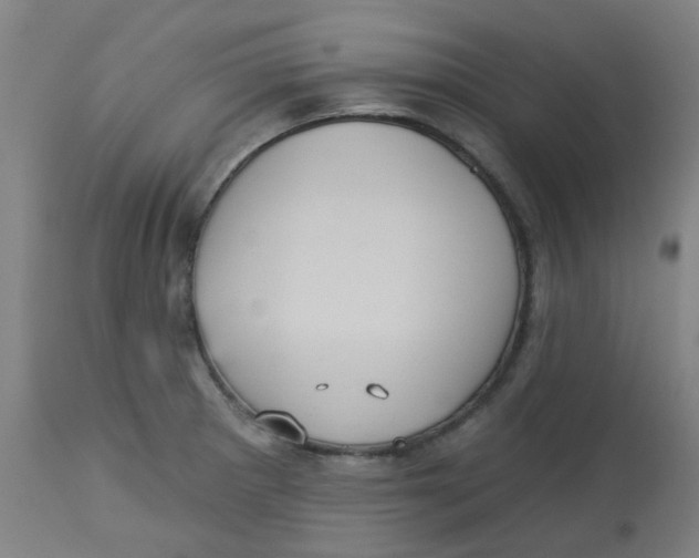 X0000113231281200910081357