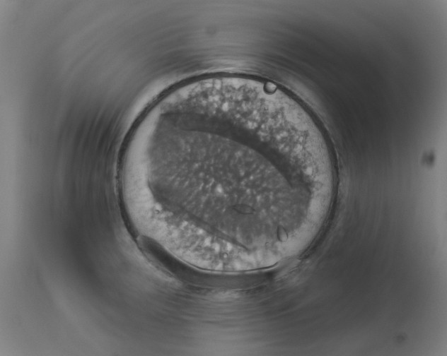 X0000113231283200910081357