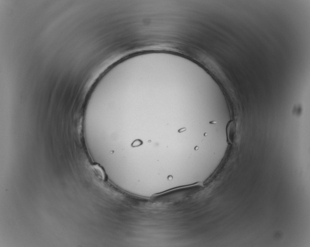 X0000113231284200910081357