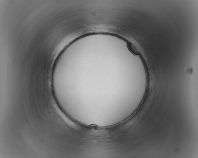 X0000113231285200910081357