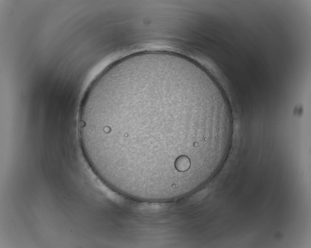 X0000113231286200910081357