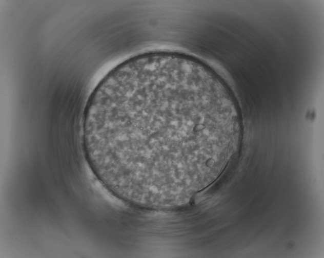 X0000113231287200910081357