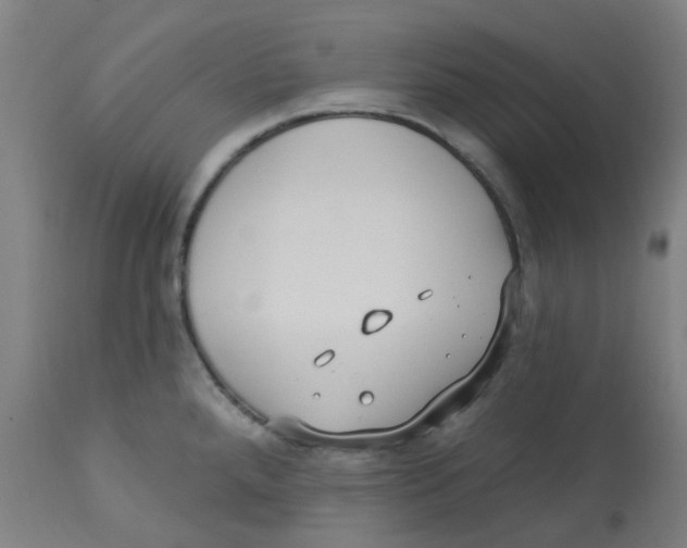 X0000113231288200910081357