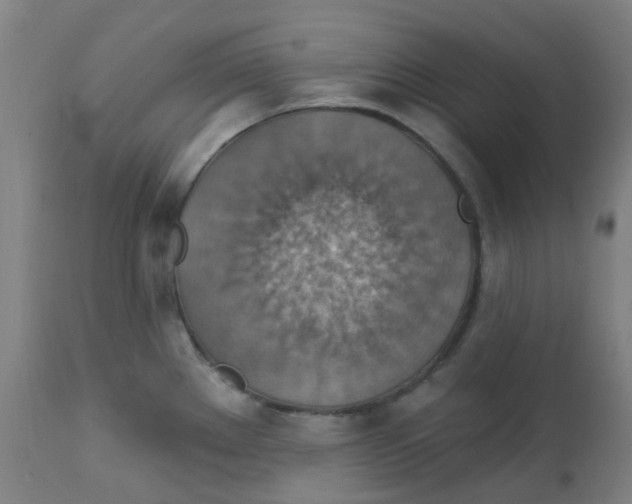 X0000113231289200910081357