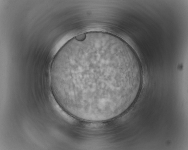 X0000113231290200910081357