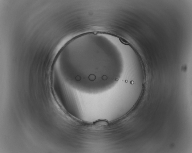 X0000113231291200910081357