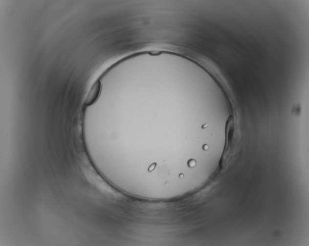 X0000113231292200910081357