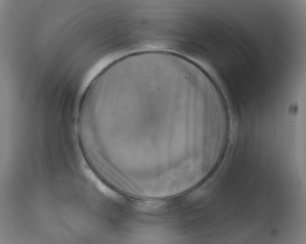 X0000113231294200910081357