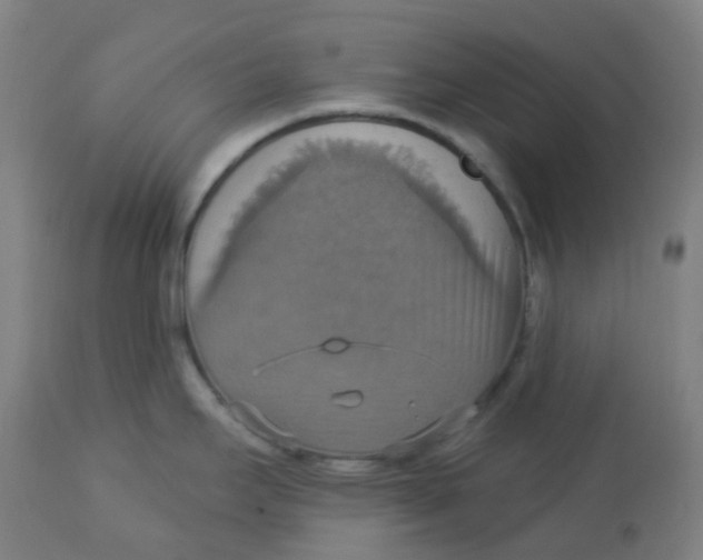 X0000113231295200910081356