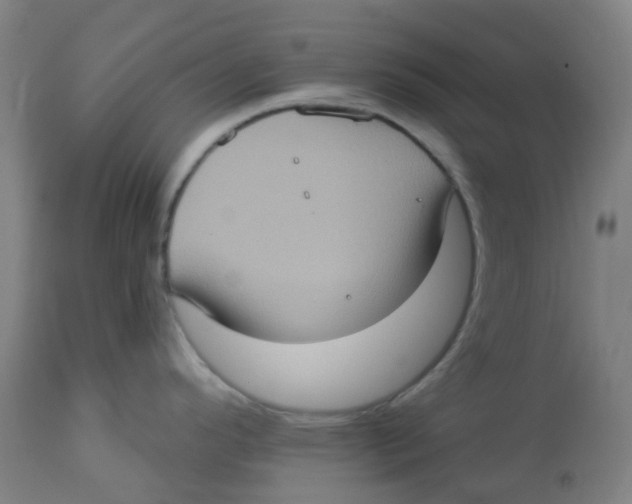 X0000113231296200910081356