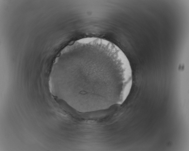 X0000113231297200910081355