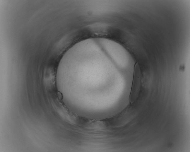 X0000113231298200910081355