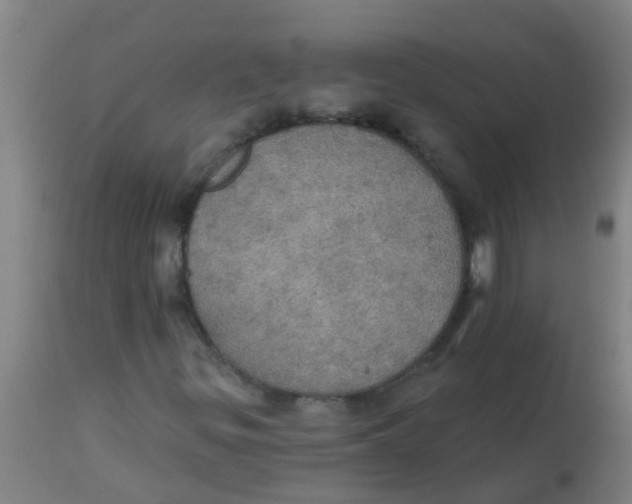 X0000113231299200910081356