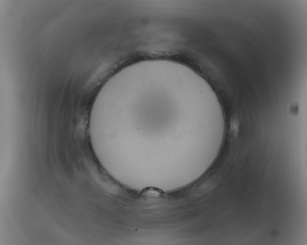 X0000113231300200910081356