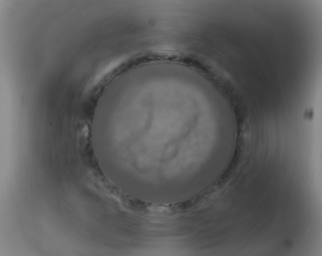 X0000113231302200910081356