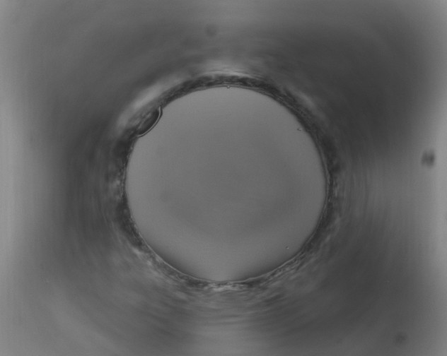 X0000113231303200910081356