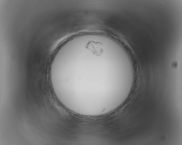 X0000113231304200910081356