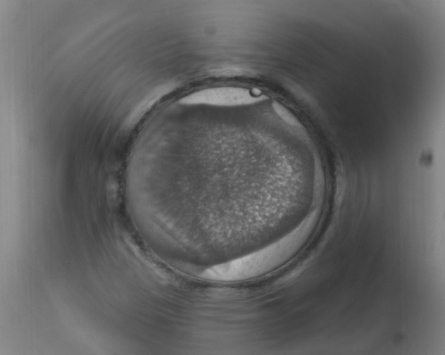 X0000113231305200910081356