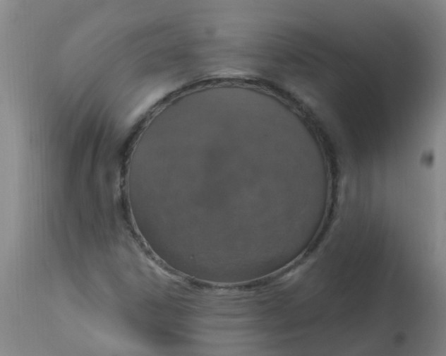 X0000113231306200910081356