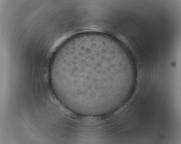 X0000113231307200910081356