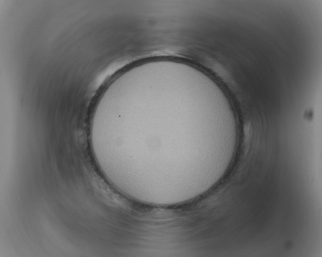 X0000113231308200910081356