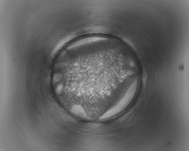 X0000113231309200910081356