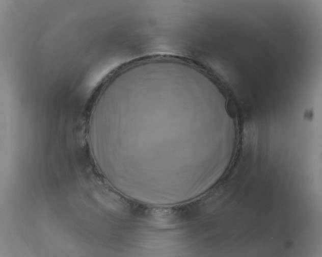 X0000113231310200910081356