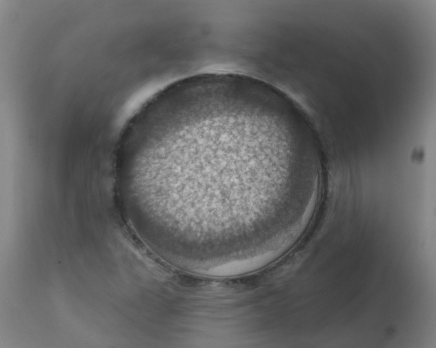 X0000113231311200910081356