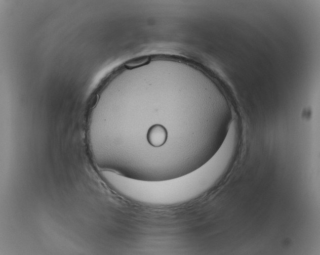 X0000113231312200910081356