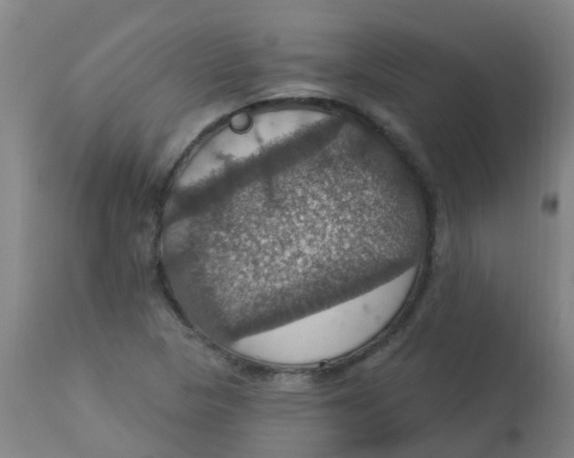 X0000113231313200910081356