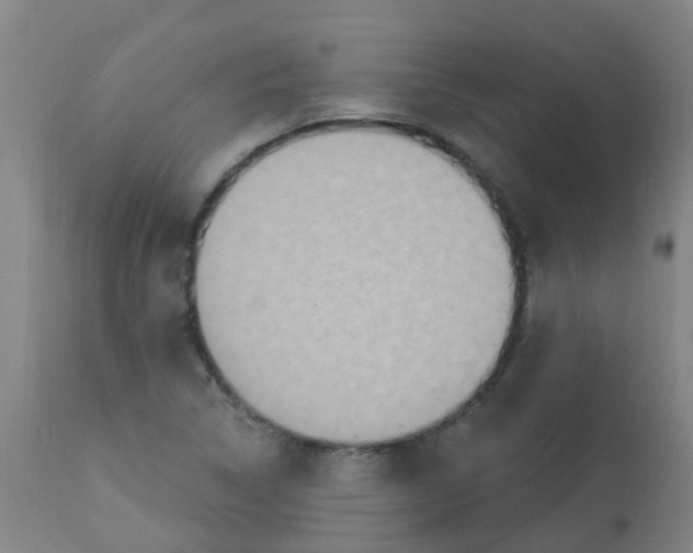 X0000113231314200910081356