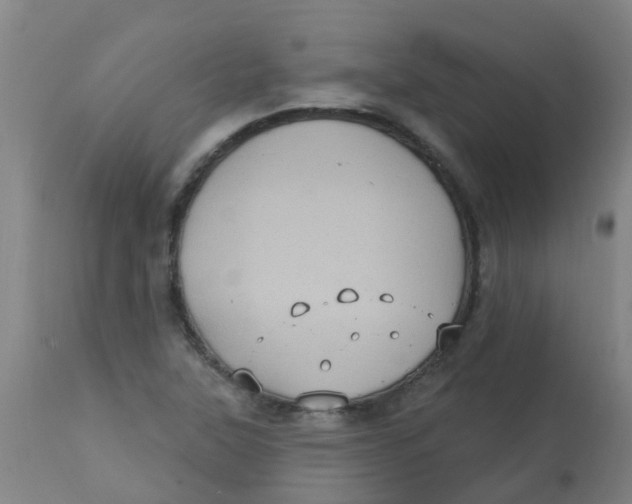 X0000113231315200910081356