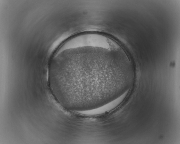 X0000113231317200910081356