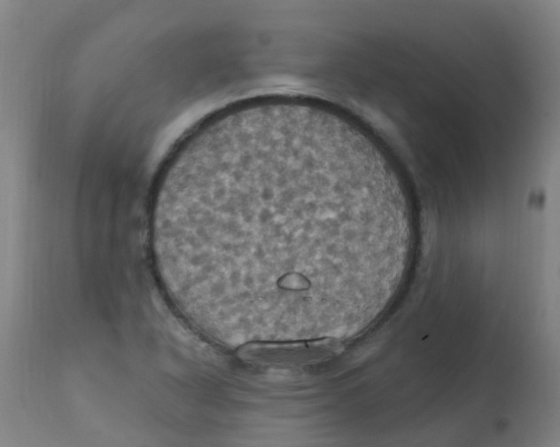 X0000113231318200910081356