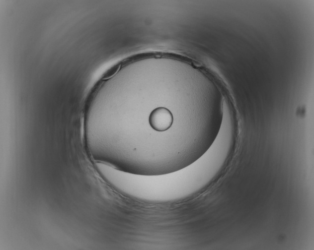 X0000113231320200910081356