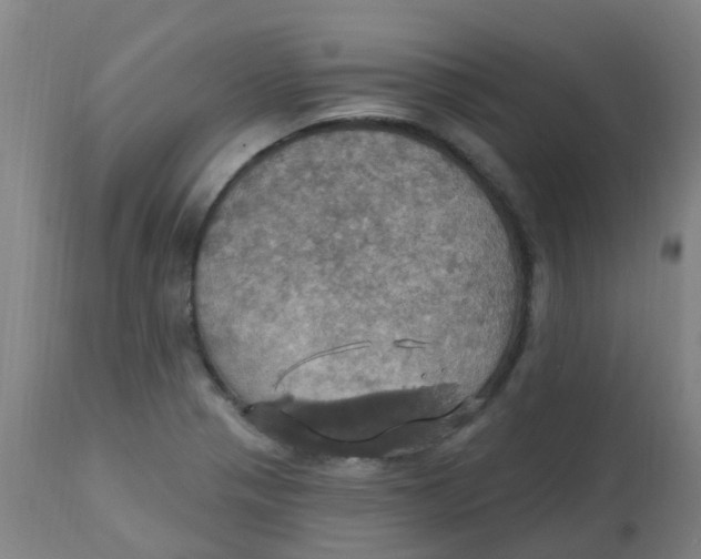 X0000113231321200910081356