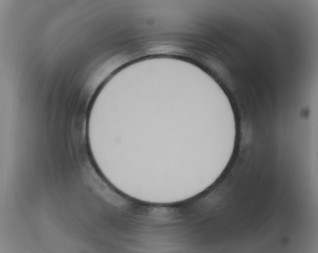 X0000113231322200910081356