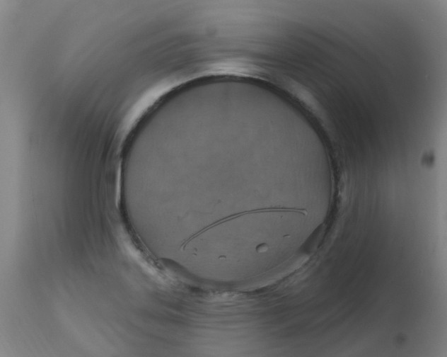 X0000113231323200910081356