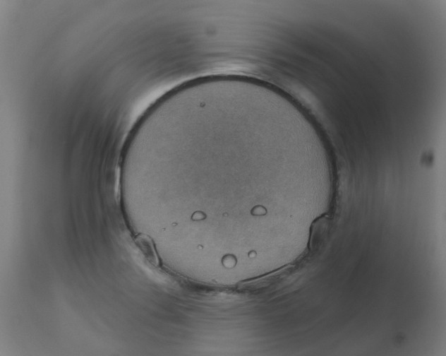 X0000113231324200910081356