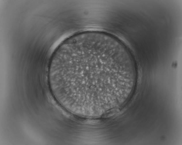 X0000113231325200910081356