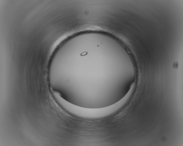 X0000113231326200910081356