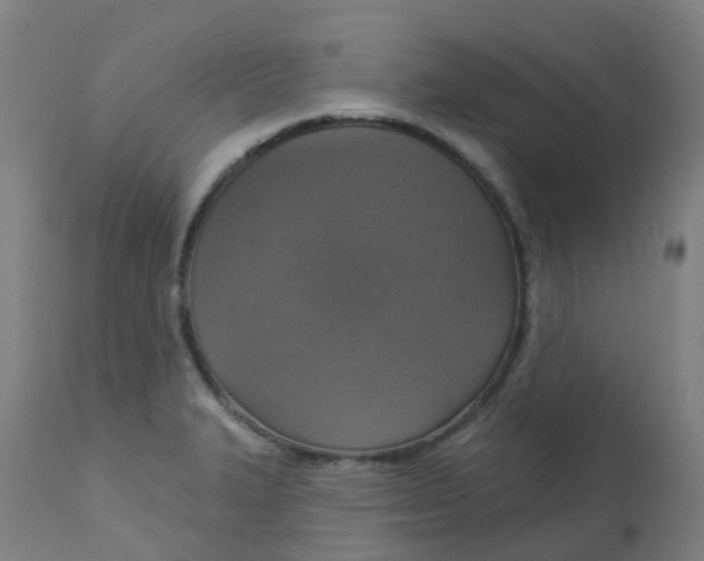 X0000113231327200910081356