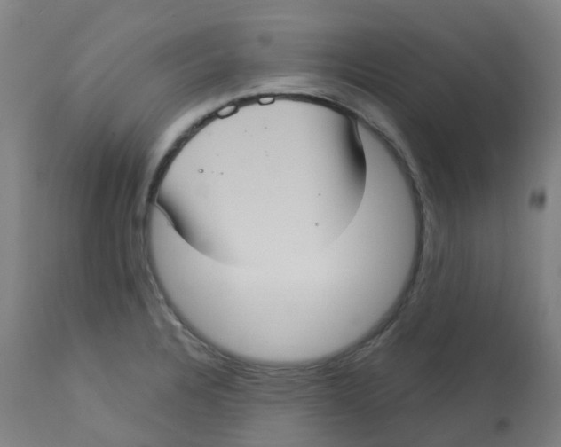 X0000113231328200910081356