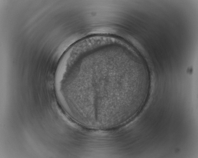 X0000113231329200910081356