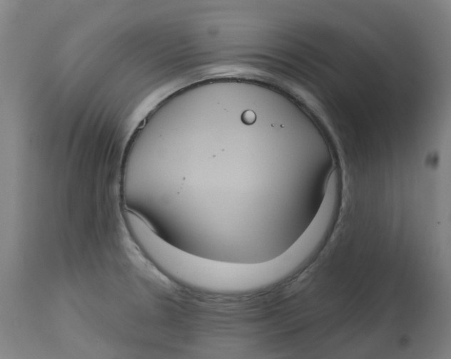 X0000113231330200910081356